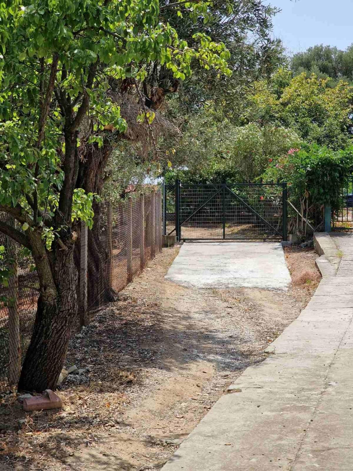 Villa Stella'S Garden à PalaiónTsiflíkion Extérieur photo